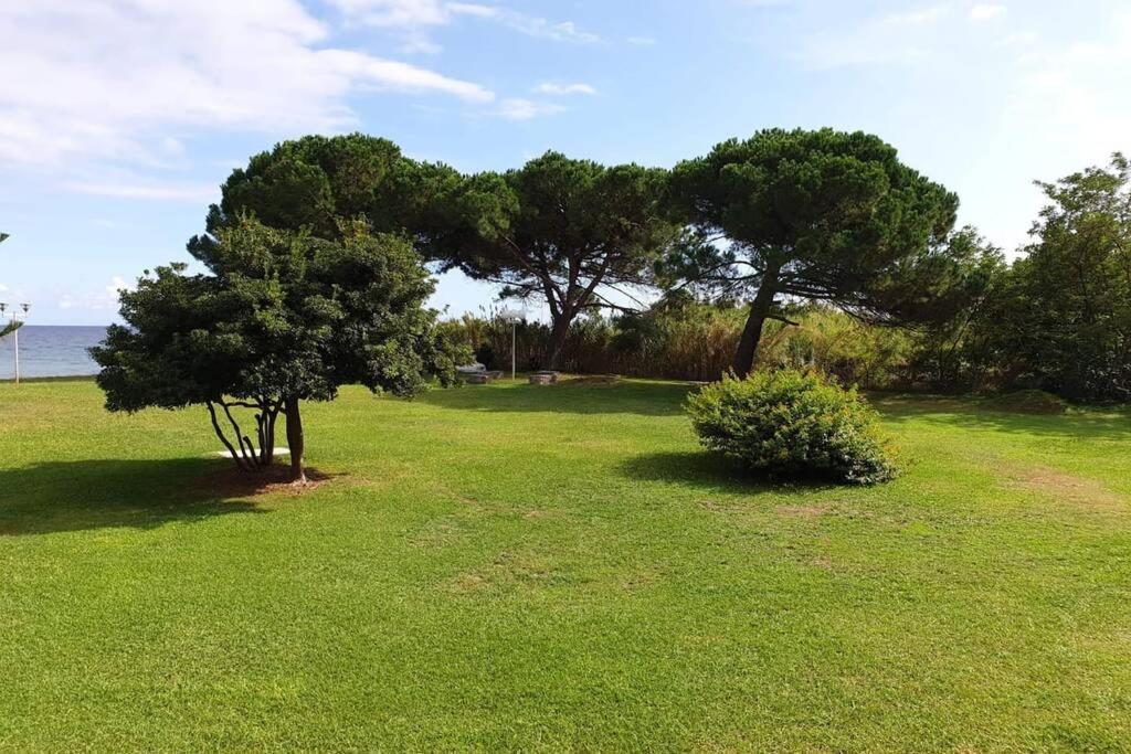 Studio Bord De Mer - Piscine - Plage San-Nicolao Kültér fotó