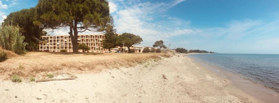 Studio Bord De Mer - Piscine - Plage San-Nicolao Kültér fotó